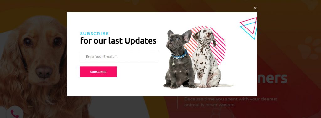 Website Builder for Dog Breeders: Simple Tips to Make a Site